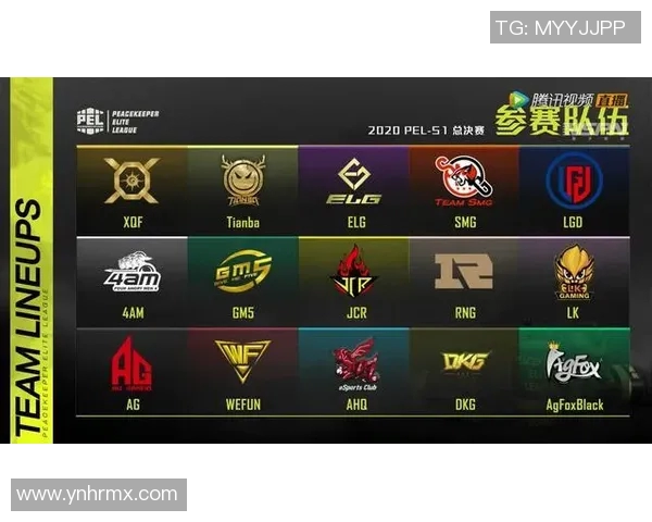 esports数据电竞实时数据杨芳专访回顾和平精英发展历程与未来展望